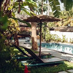 Couette-café Paddlecult Surf Retreat